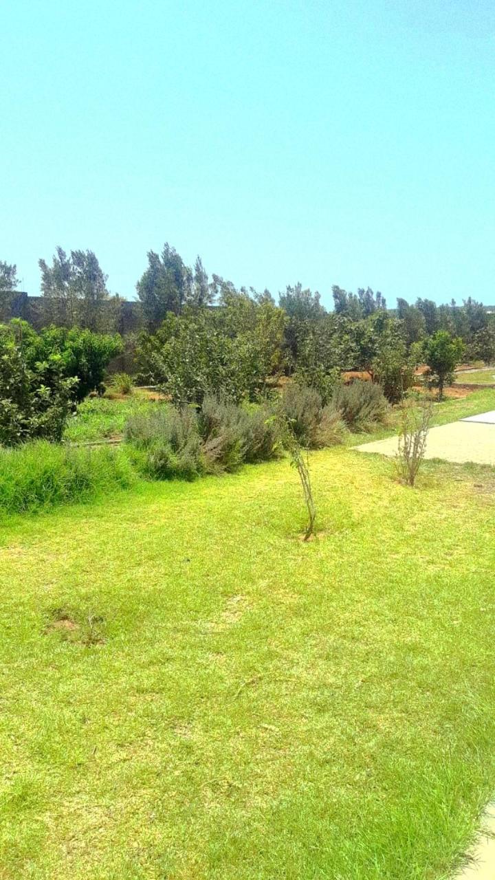 Villa Ferme Prive Avec Piscine Safi Exterior foto